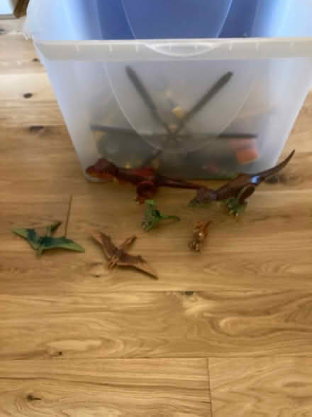 Photo of free Jurassic Park Lego (Bare, Morecambe LA4) #2