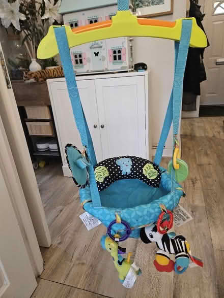 Photo of free Baby bouncer (Chipstead TN13) #2
