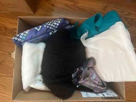 Photo of free Fabrics for projects/costumes etc (Royal Oak, MI) #1