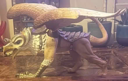 Photo of free Griffin (Finsbury Park N4) #1