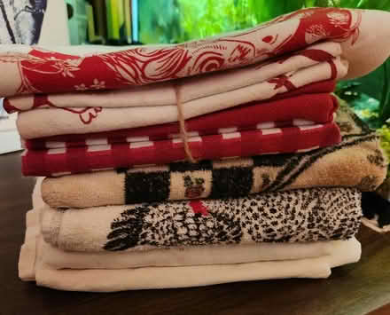 Photo of free Dish Towels (High Falls) #1