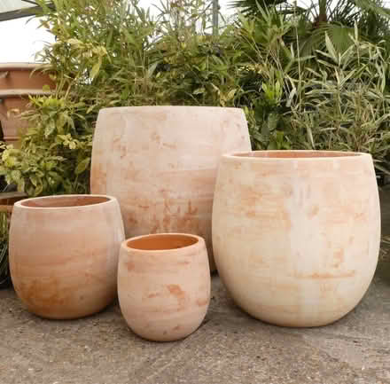 Photo of Large terracotta flower pot (Wallasey) #3