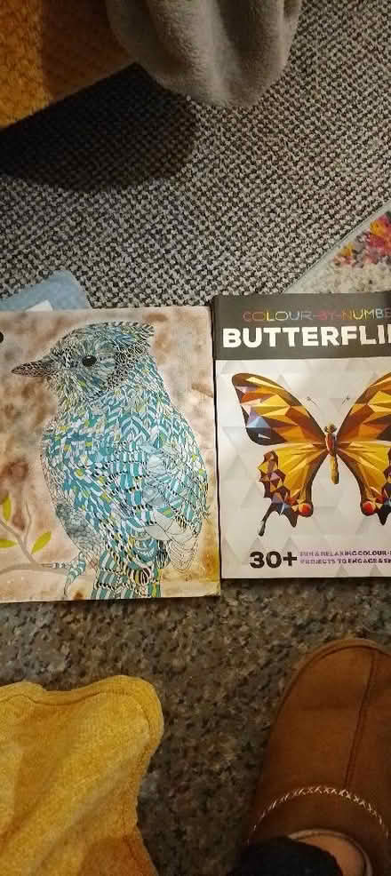 Photo of free Colouring books (St Leonards TN38) #1