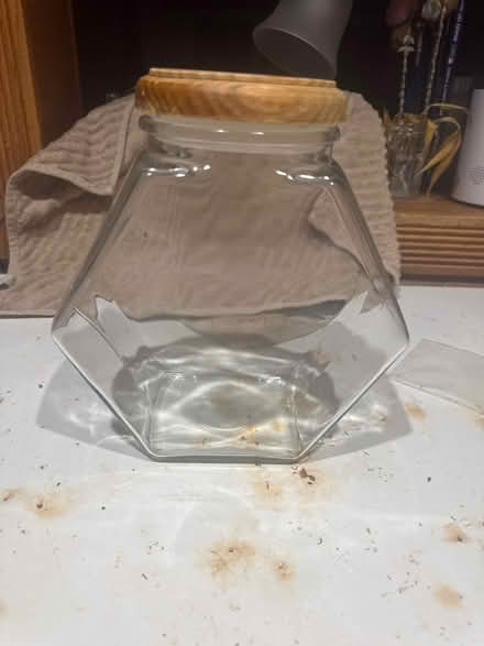 Photo of free Glass Storage Container (Stuyvesant Heights) #1