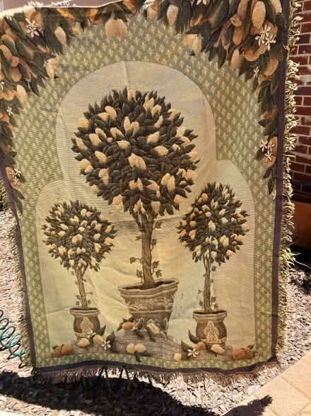 Photo of free Throws (Inner Perth) #2