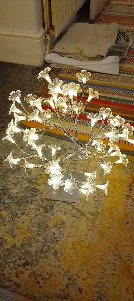 Photo of free Flower lamp (St Leonards TN38) #1