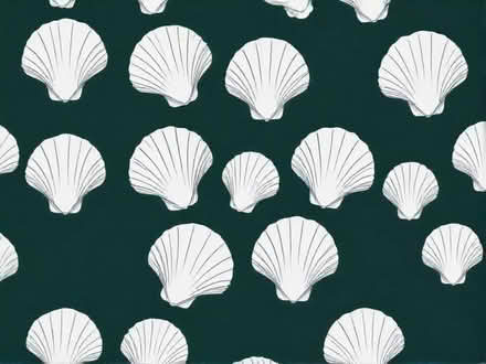 Photo of Scallop Shells (Datchet SL3) #1