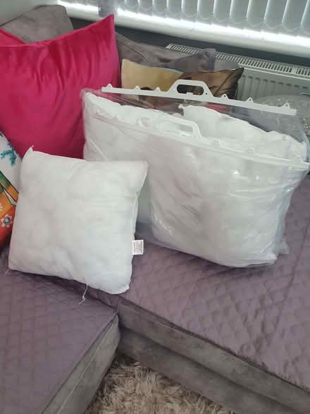 Photo of free Cushions (never used) (Elstow MK42) #1