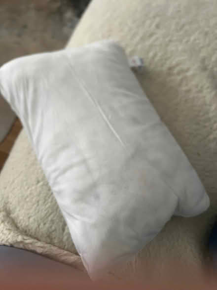 Photo of free Cushion Insert (Collier Row RM5) #1