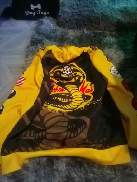 Photo of free 7 hoodies ( Keighley) (Keighley bd20) #2