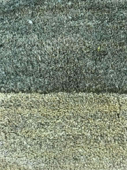 Photo of free large green rug (east hollywood) #2