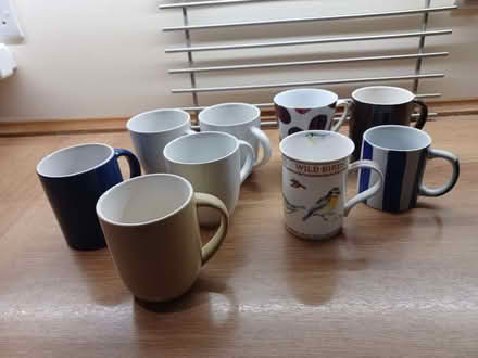 Photo of free Clean mugs (Hangleton BN3) #1