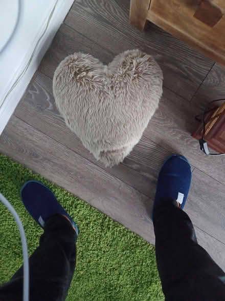 Photo of free 2 heart shaped cushions (Seacroft LS14) #1