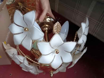 Photo of free Small chandelier light fitting (Bramley, Leeds LS13) #1