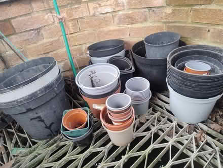 Photo of free Lots of plastic plant pots (CT21) #1