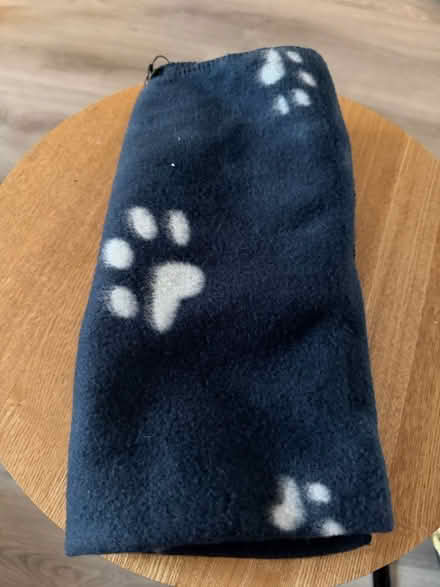 Photo of free Puppy fleece blanket (Colchester CO3) #1