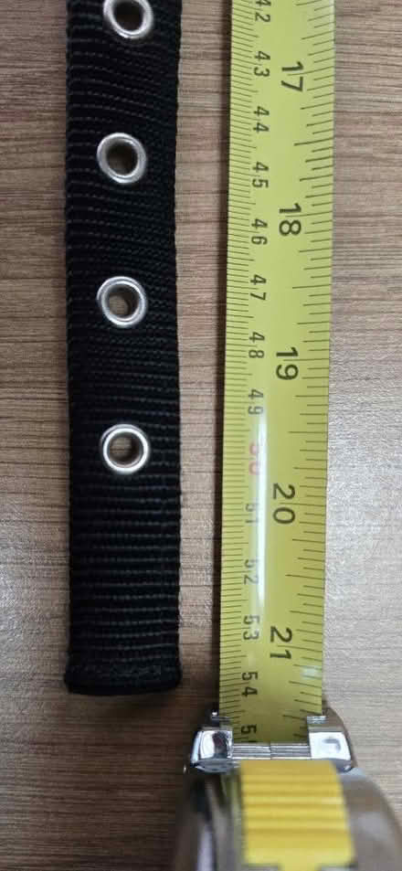 Photo of free Dog Collar - Medium (Seaford BN25) #2