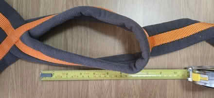 Photo of free Dog Harness (Seaford BN25) #2