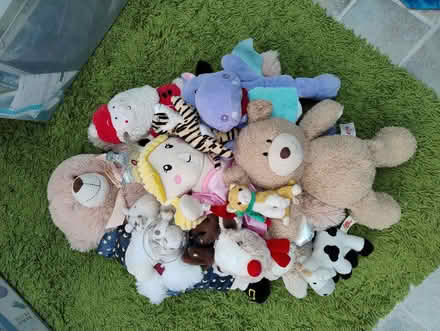 Photo of free Soft toys (Kingston Bagpuize OX13) #1