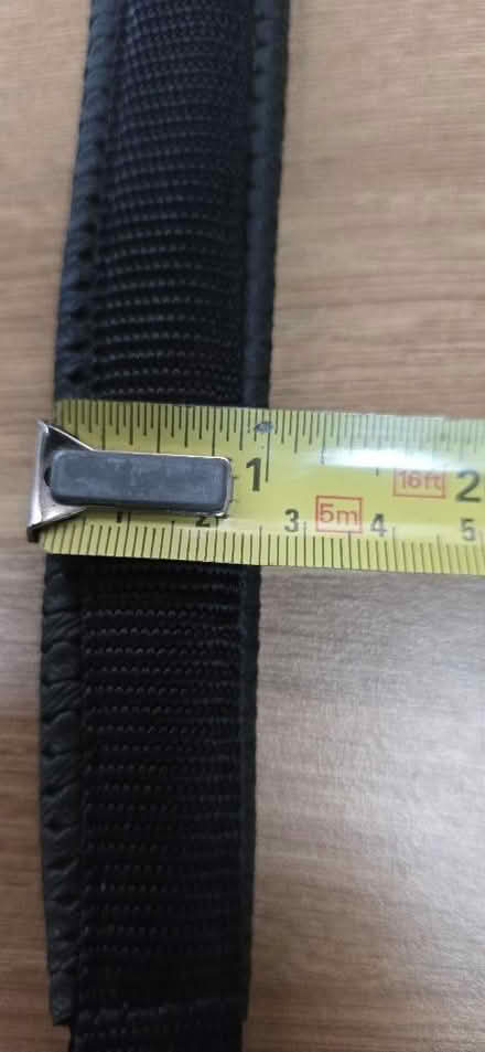 Photo of free Dog Collar - Medium (Seaford BN25) #4