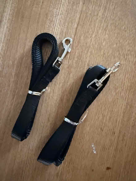 Photo of free Cat/puppy leash (Colchester CO3) #1