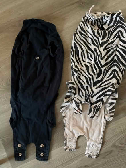 Photo of free Surgical suits for dogs (Colchester CO3) #1