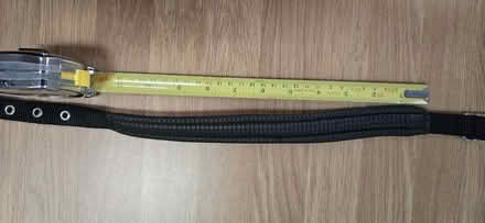 Photo of free Dog Collar - Medium (Seaford BN25) #1