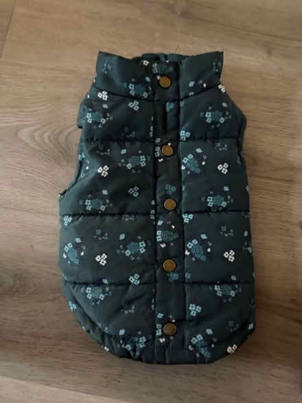 Photo of free Small dog jacket (Colchester CO3) #1