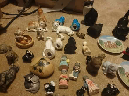 Photo of free China Cat Collection (Trowbridge BA14) #3