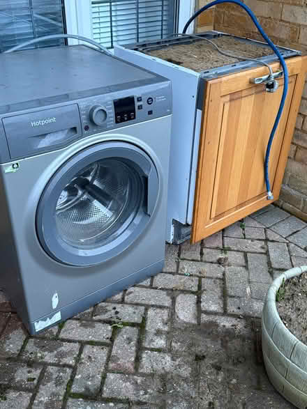 Photo of free Dishwasher (Cooden TN39) #3