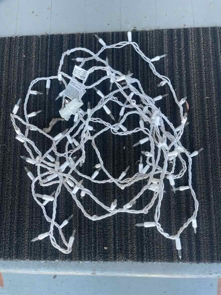 Photo of free Incandescent mini Xmas lights (Palo Alto downtown north.) #3
