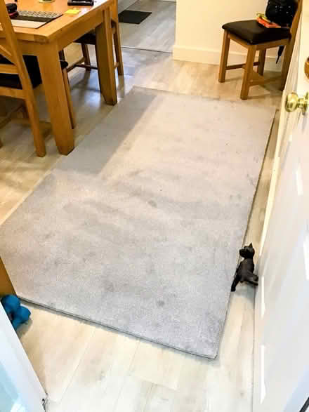 Photo of free Carpet off cut (North End Portsmouth) #1