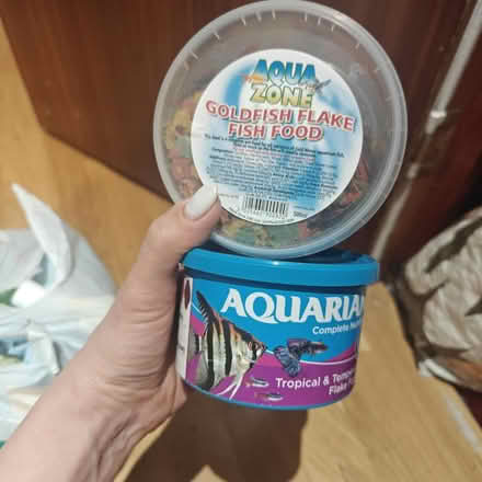 Photo of free Fish food (NW9) #1