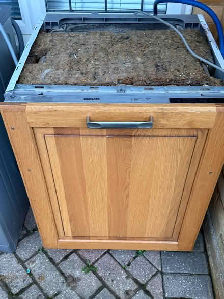 Photo of free Dishwasher (Cooden TN39) #2