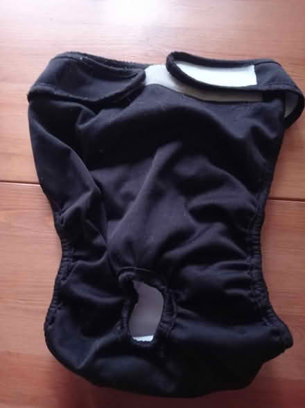 Photo of free XL reusable dog nappies (Ridge LA1) #2