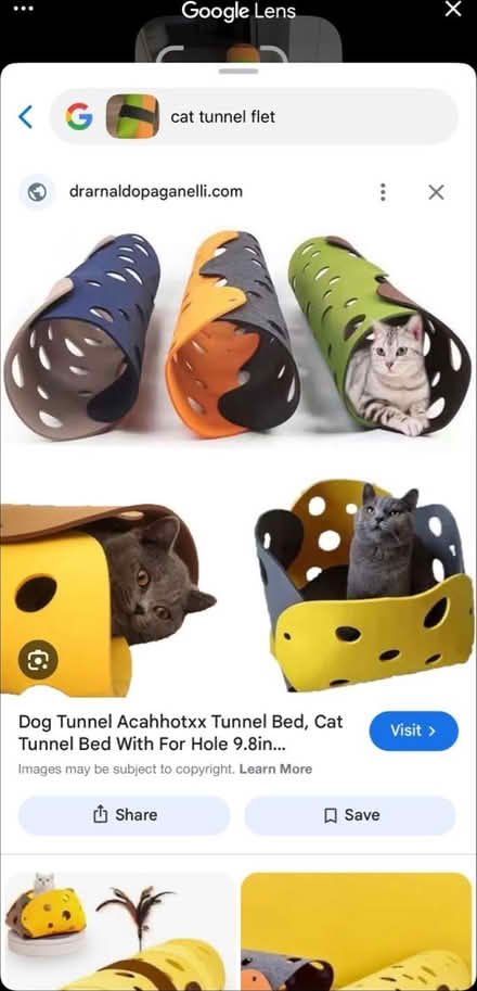 Photo of free cat felt tunnel, cat toy (near kings academy) #3