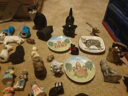 Photo of free China Cat Collection (Trowbridge BA14) #2