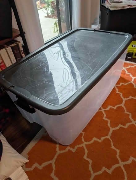 Photo of free Storage bins (Folsom) #2