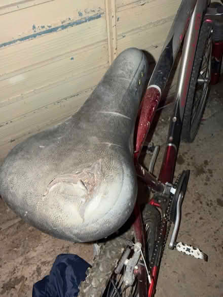 Photo of free Men’s mountain bike (Cooden TN39) #2