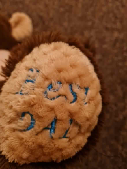 Photo of free Sort toy bear with Best dad (NG15) #2