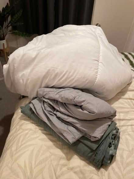 Photo of free King Duvet & covers (Leith EH6) #4