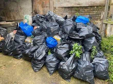 Photo of free Garden landscaping materials (SW2 - Brixton) #3