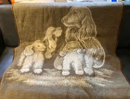 Photo of free Large Throw (Wantage OX12) #1