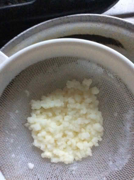 Photo of free Kefir starter (Heeley S2) #1