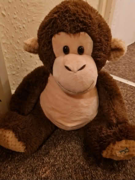 Photo of free Sort toy bear with Best dad (NG15) #1