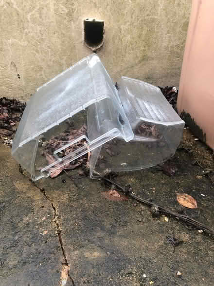 Photo of free Fridge freezer draws (North London N4) #1