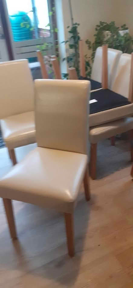 Photo of free 6 Dining room chairs (Great Boughton CH3) #1