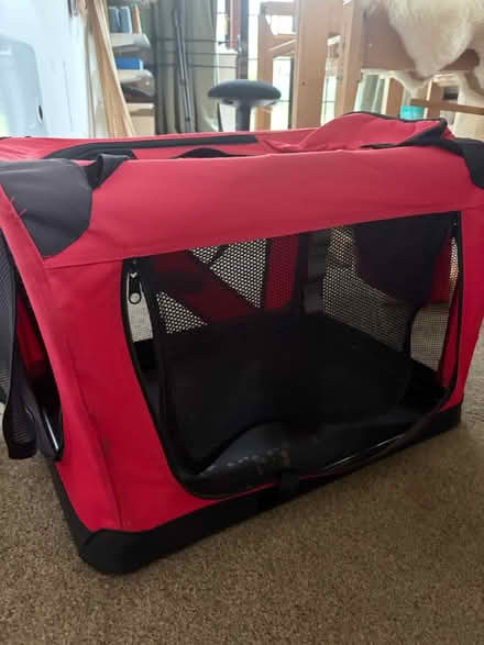 Photo of free Dog carrier (Tunbridge Wells TN2) #1