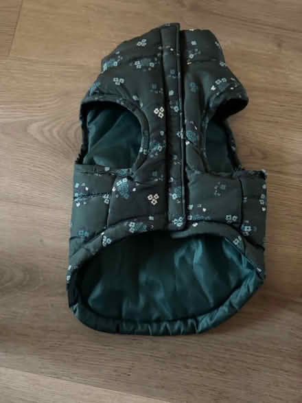 Photo of free Small dog jacket (Colchester CO3) #2
