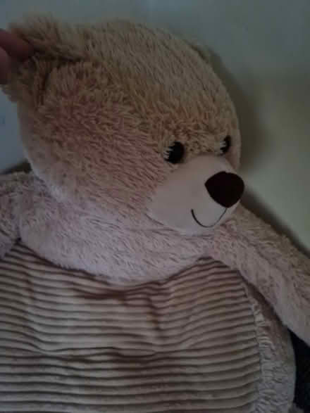 Photo of free Bear chair (NG15) #2